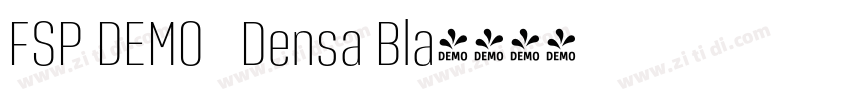 FSP DEMO   Densa Bla字体转换